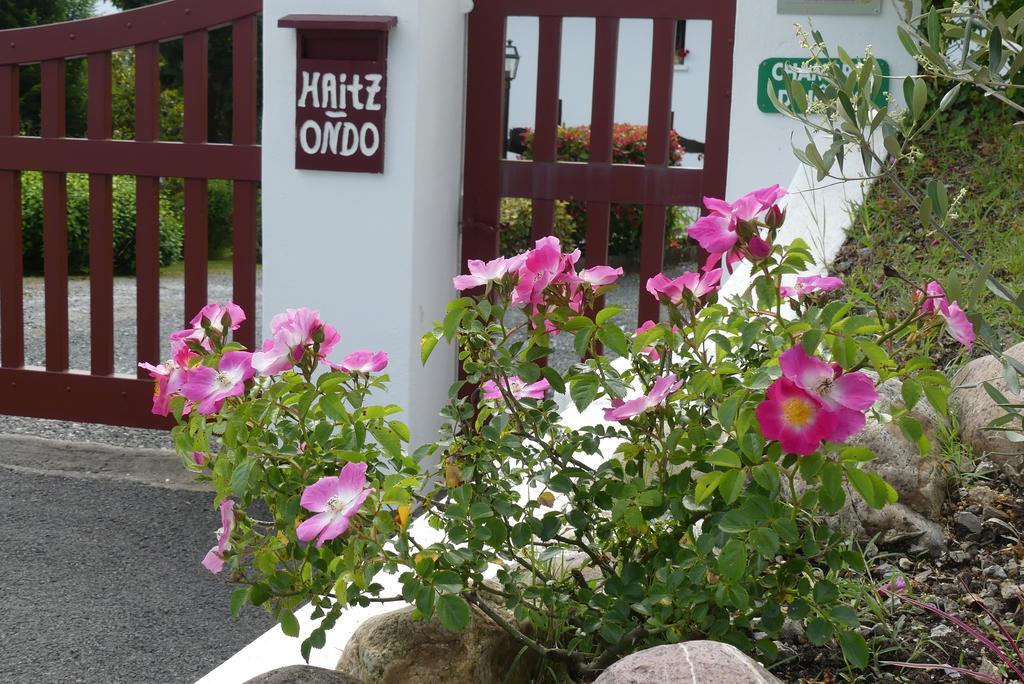 Chambres D'Hotes Haitz Ondo Hasparren Exterior photo